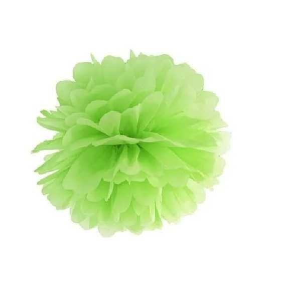 Pompon en papier de soie vert pomme 25 cm
